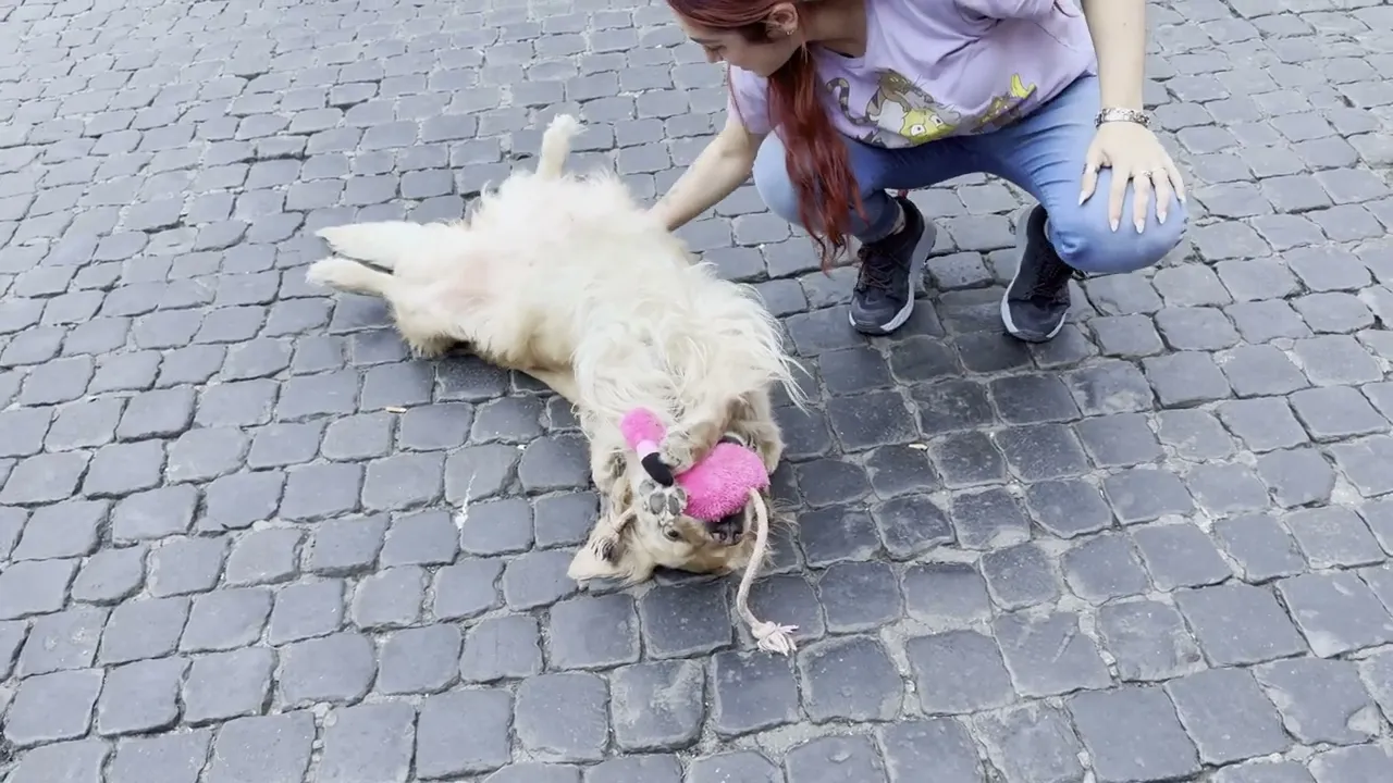 YouTube thumbnail