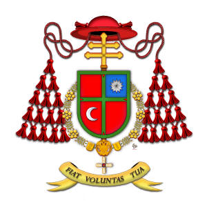 Lifesite interview with Card Canizares: Save the Liturgy - Save the World