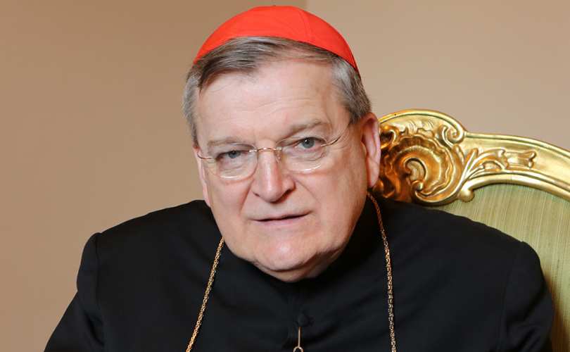 INTERVIEW with Card. Burke about their plea to Pope Francis "Seeking Clarity"