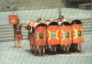 Tortise formation