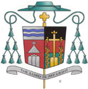 Bishop of Memphis on the Motu Proprio