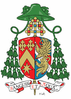 Archd. of Canberra and Goulburn: Pastoral Letter on Liturgy