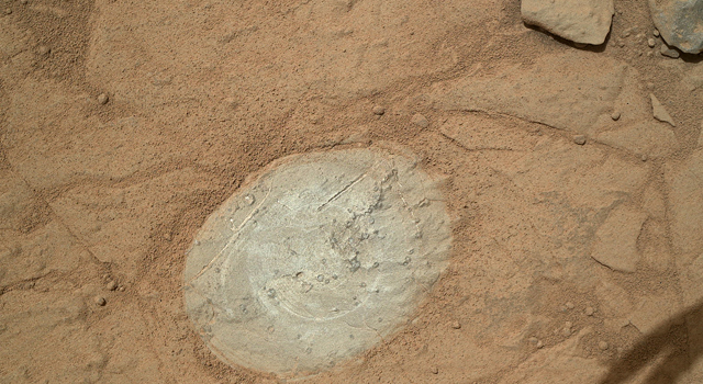 JUST TOO COOL: Of Niobids and Rovers