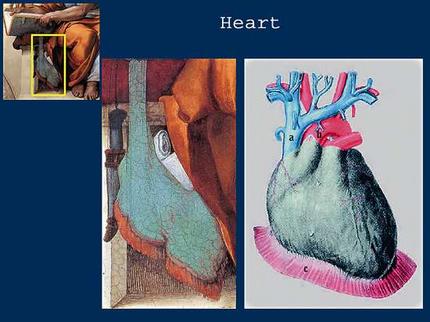 Putting heart and soul into it … illustrations from The Secret Art of Michelangelo show a depiction of a human heart in the Cumaean Sibyl.
