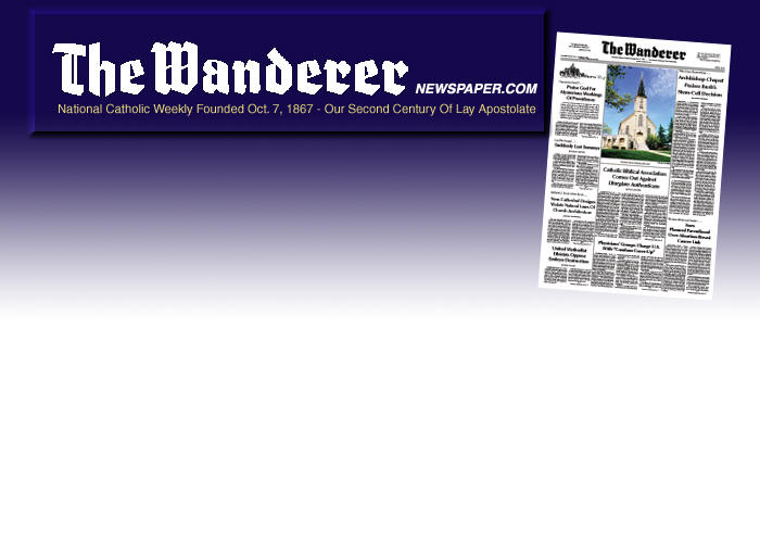 Fr. Altier joining The Wanderer