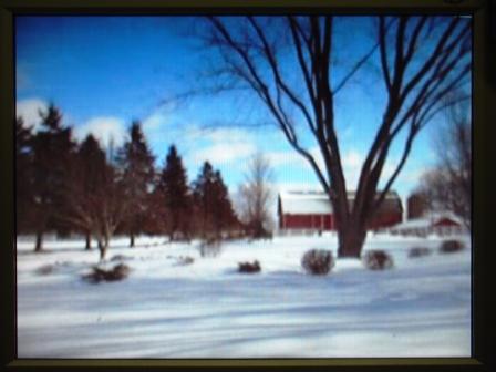 Webcam view at the Sabine Farm
