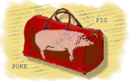 Pig in a poke