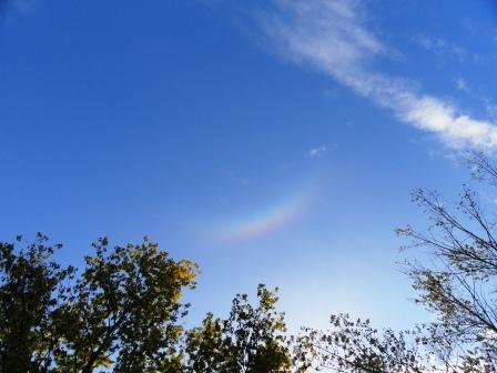 sundog