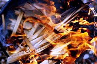 Burning palms