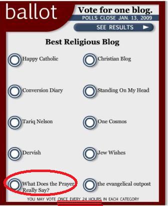 ALERT! Help WDTPRS in the 2008 Weblog Awards - VOTING IS OPEN!