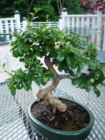 PENJING REPORT