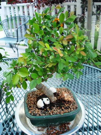 PENJING REPORT