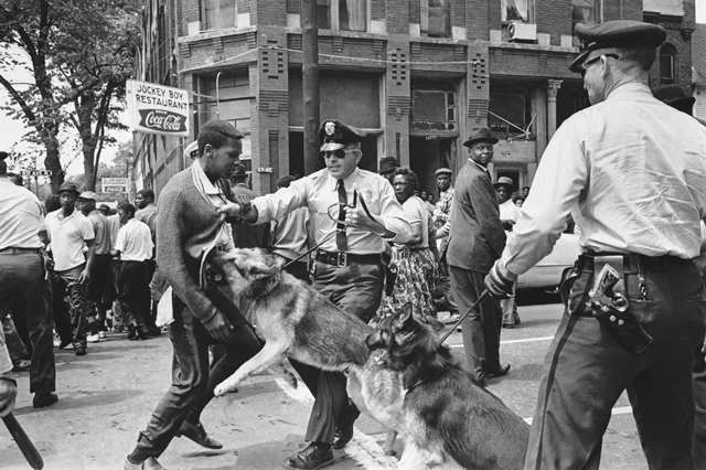 civil rights Birmingham dogs sm