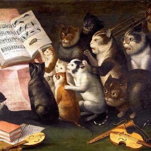 schola cantorum cats