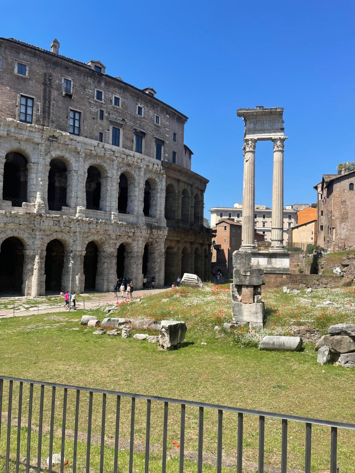 Daily Rome Shot 1676 – good news