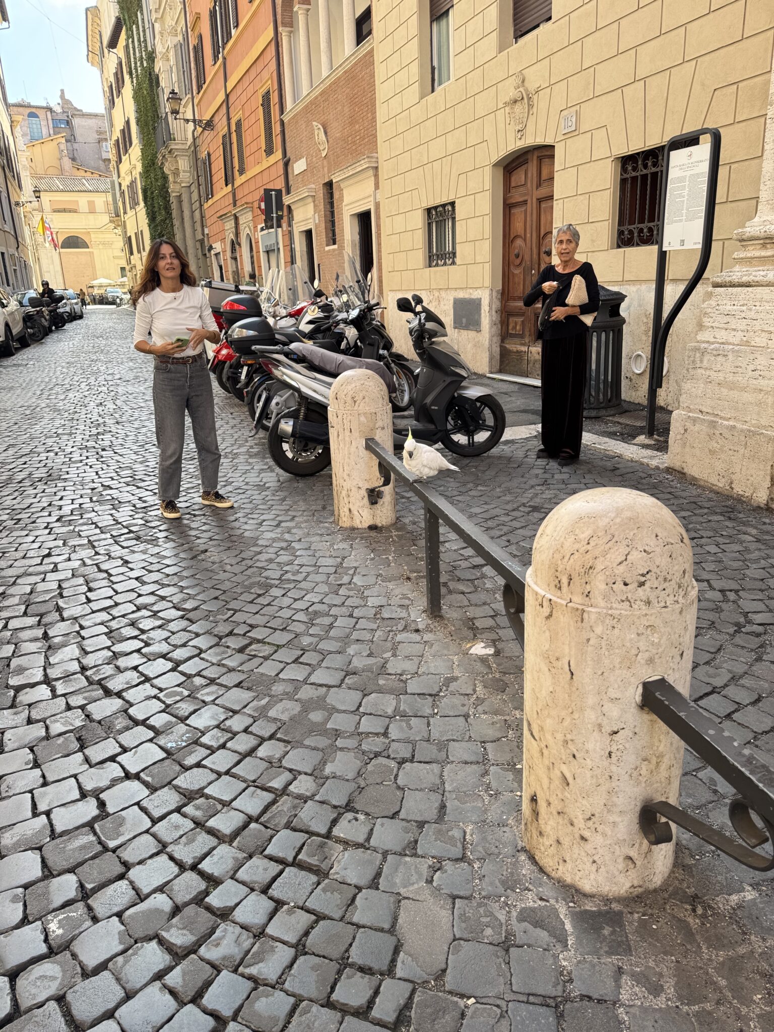 ROME 26/10– Day 22: Colors and courses and Coco
